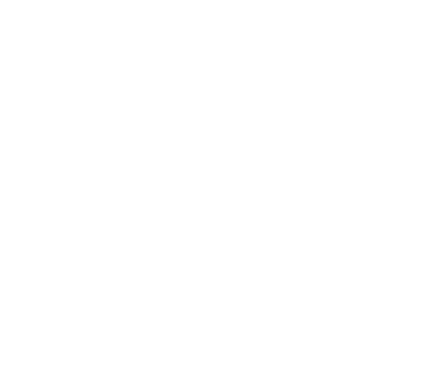 flash energy logo